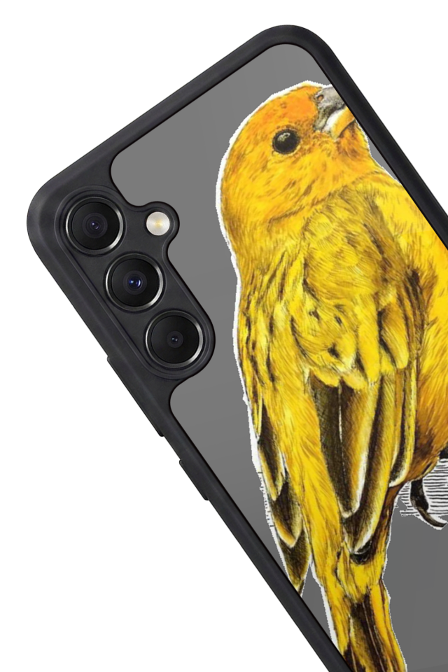 Samsung Galaxy A34 Uyumlu Fenerbahce Tasarımlı Glossy Premium Kılıf