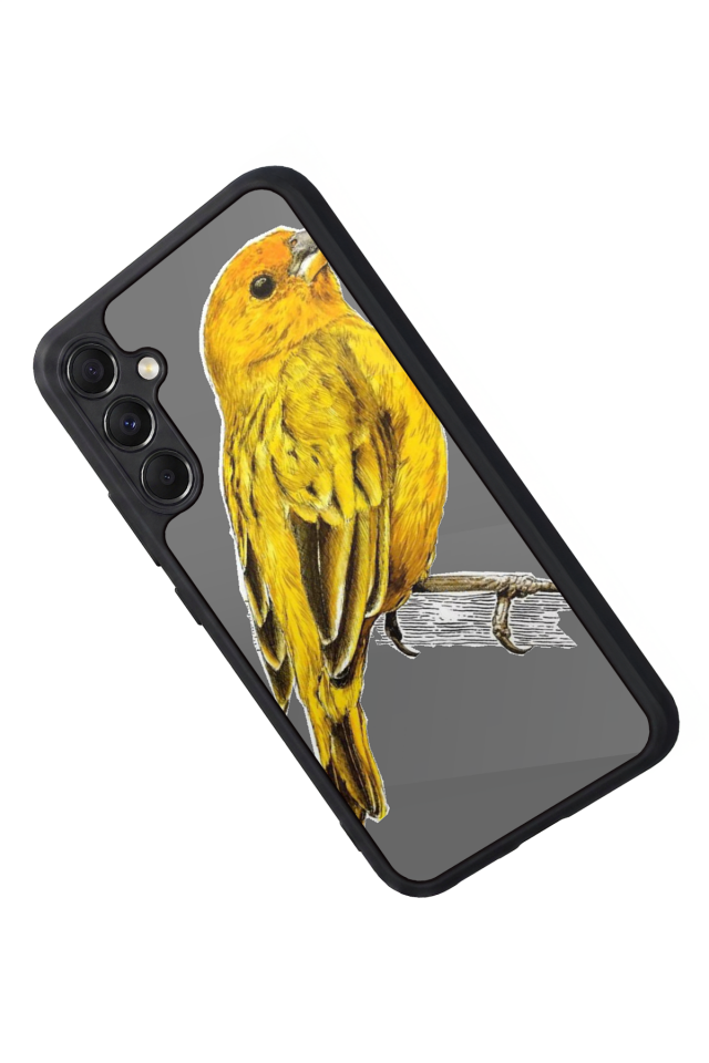 Samsung Galaxy A34 Uyumlu Fenerbahce Tasarımlı Glossy Premium Kılıf
