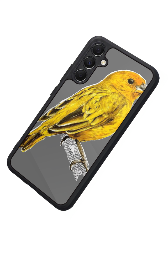 Samsung Galaxy A34 Uyumlu Fenerbahce Tasarımlı Glossy Premium Kılıf