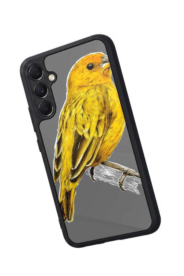 Samsung Galaxy A34 Uyumlu Fenerbahce Tasarımlı Glossy Premium Kılıf