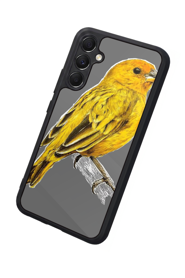 Samsung Galaxy A34 Uyumlu Fenerbahce Tasarımlı Glossy Premium Kılıf