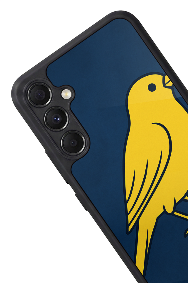 Samsung Galaxy A34 Uyumlu Fenerbahce Tasarımlı Glossy Premium Kılıf