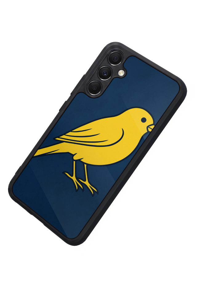 Samsung Galaxy A34 Uyumlu Fenerbahce Tasarımlı Glossy Premium Kılıf