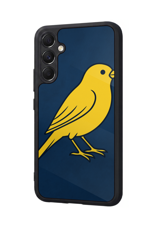 Samsung Galaxy A34 Uyumlu Fenerbahce Tasarımlı Glossy Premium Kılıf