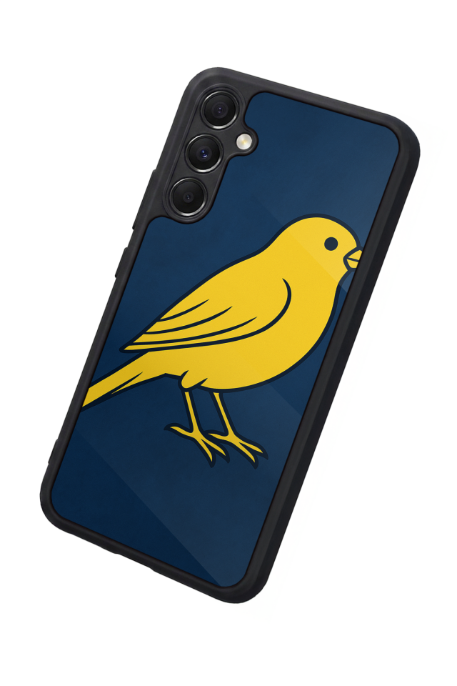 Samsung Galaxy A34 Uyumlu Fenerbahce Tasarımlı Glossy Premium Kılıf