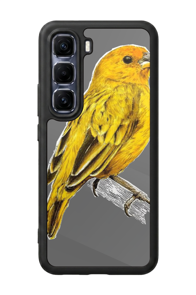 Infinix Hot 60 Pro Plus Uyumlu Fenerbahce Tasarımlı Glossy Premium Kılıf
