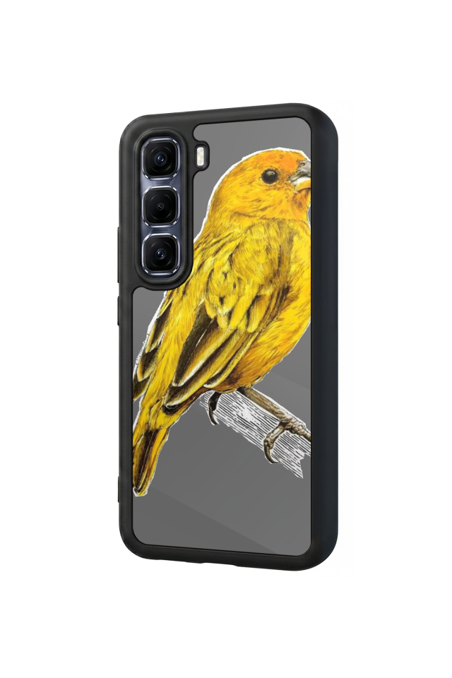 Infinix Hot 60 Pro Plus Uyumlu Fenerbahce Tasarımlı Glossy Premium Kılıf