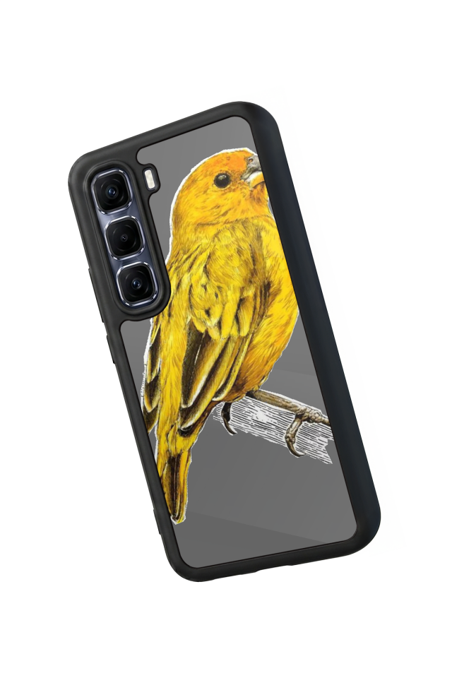 Infinix Hot 60 Pro Plus Uyumlu Fenerbahce Tasarımlı Glossy Premium Kılıf