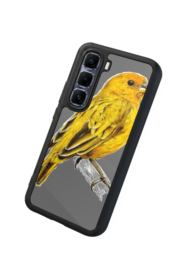 Infinix Hot 60 Pro Plus Uyumlu Fenerbahce Tasarımlı Glossy Premium Kılıf