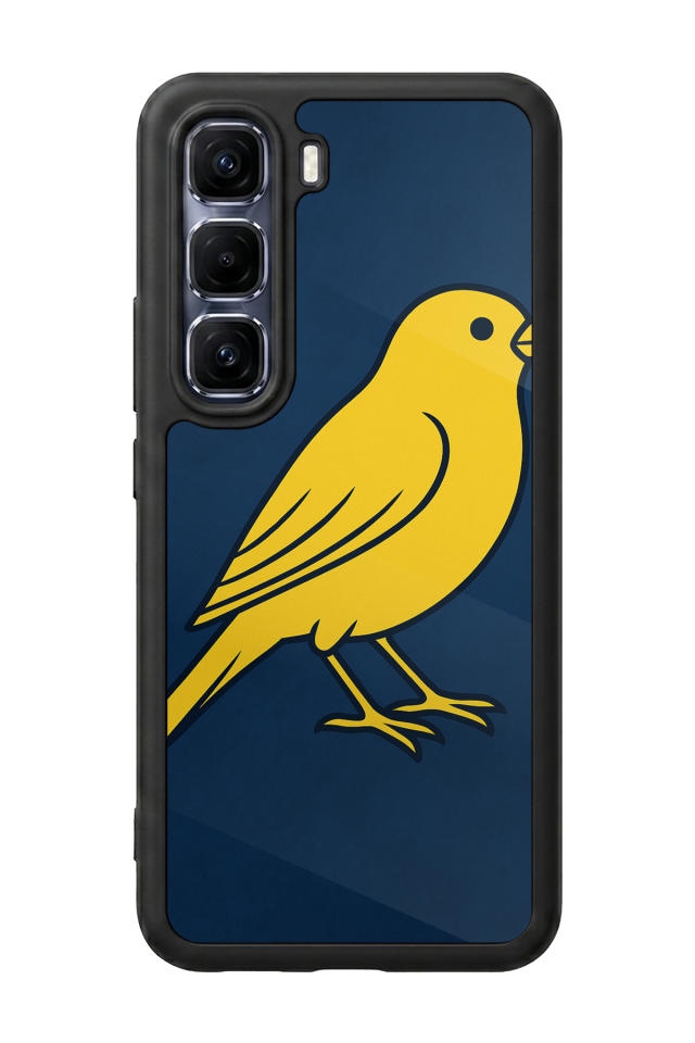 Infinix Hot 60 Pro Plus Uyumlu Fenerbahce Tasarımlı Glossy Premium Kılıf