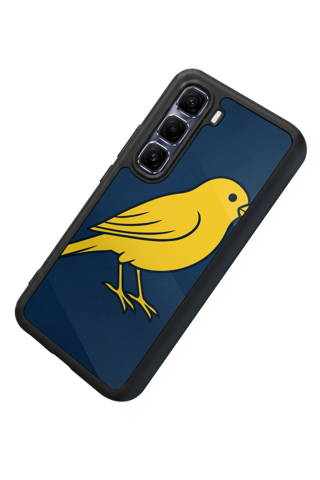 Infinix Hot 60 Pro Plus Uyumlu Fenerbahce Tasarımlı Glossy Premium Kılıf