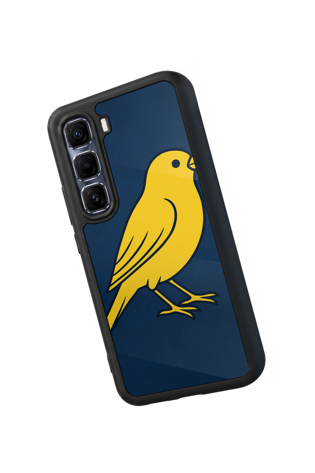 Infinix Hot 60 Pro Plus Uyumlu Fenerbahce Tasarımlı Glossy Premium Kılıf