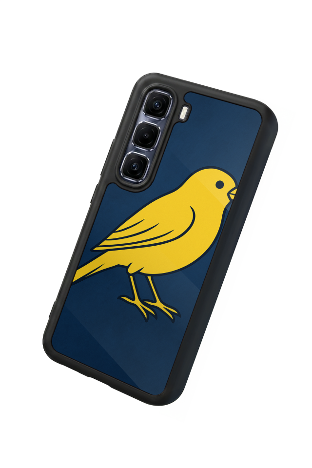 Infinix Hot 60 Pro Plus Uyumlu Fenerbahce Tasarımlı Glossy Premium Kılıf