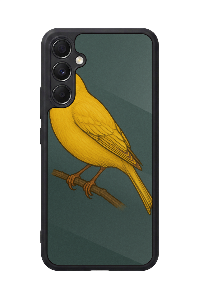 Samsung Galaxy A34 Uyumlu Fenerbahce Tasarımlı Glossy Premium Kılıf