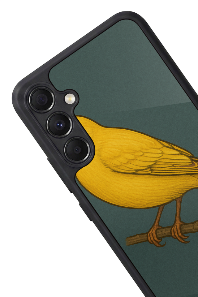 Samsung Galaxy A34 Uyumlu Fenerbahce Tasarımlı Glossy Premium Kılıf