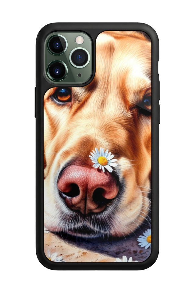 iPhone 11 Pro Uyumlu Golden Kopek Tasarımlı Glossy Premium Kılıf