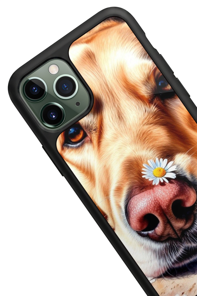 iPhone 11 Pro Uyumlu Golden Kopek Tasarımlı Glossy Premium Kılıf