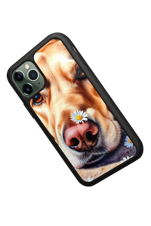 iPhone 11 Pro Uyumlu Golden Kopek Tasarımlı Glossy Premium Kılıf