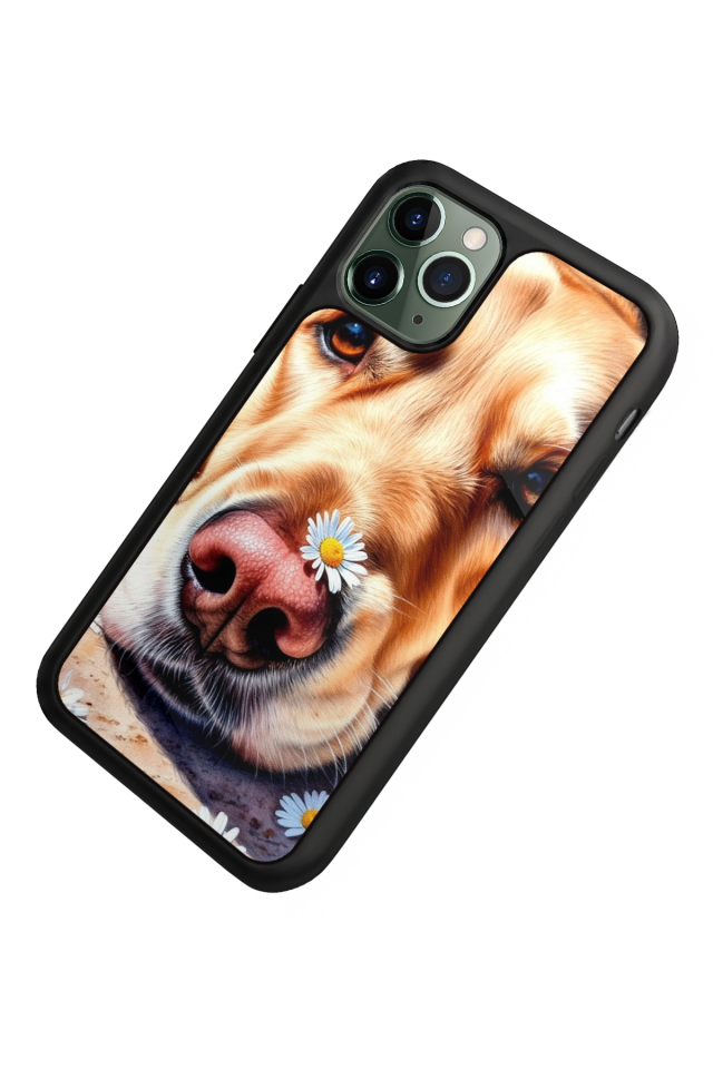 iPhone 11 Pro Uyumlu Golden Kopek Tasarımlı Glossy Premium Kılıf