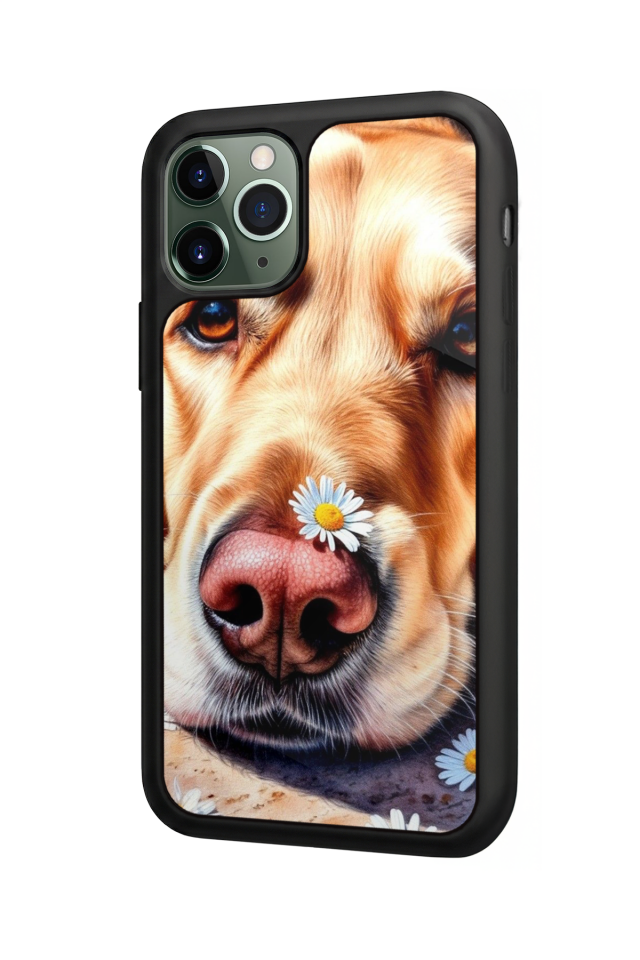 iPhone 11 Pro Uyumlu Golden Kopek Tasarımlı Glossy Premium Kılıf
