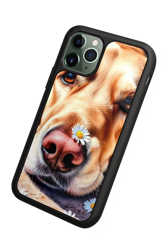iPhone 11 Pro Uyumlu Golden Kopek Tasarımlı Glossy Premium Kılıf