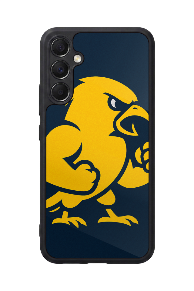 Samsung Galaxy A34 Uyumlu Fenerbahce Tasarımlı Glossy Premium Kılıf