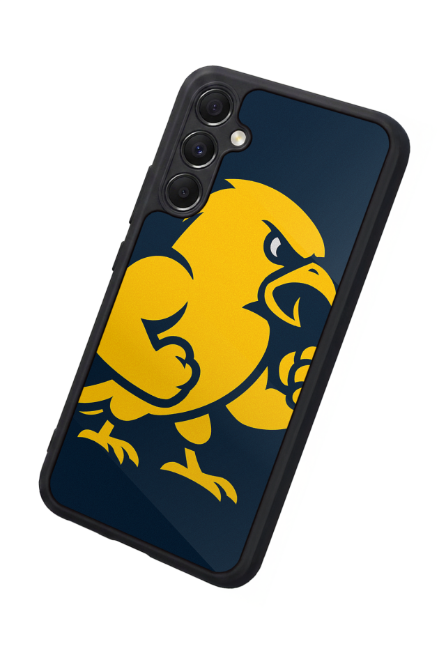 Samsung Galaxy A34 Uyumlu Fenerbahce Tasarımlı Glossy Premium Kılıf