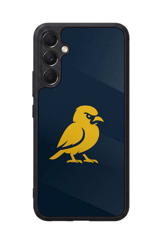 Samsung Galaxy A34 Uyumlu Fenerbahce Tasarımlı Glossy Premium Kılıf