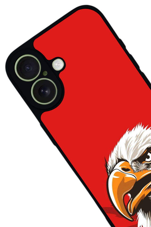 iPhone 17 Uyumlu Besiktas Tasarımlı Glossy Premium Kılıf