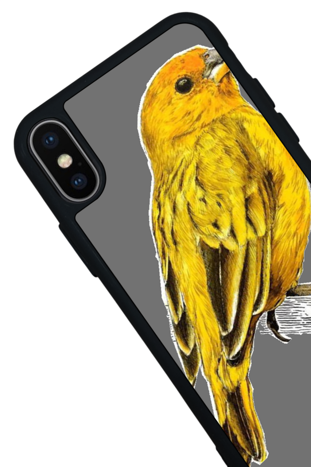 iPhone XS Max Uyumlu Fenerbahce Tasarımlı Glossy Premium Kılıf