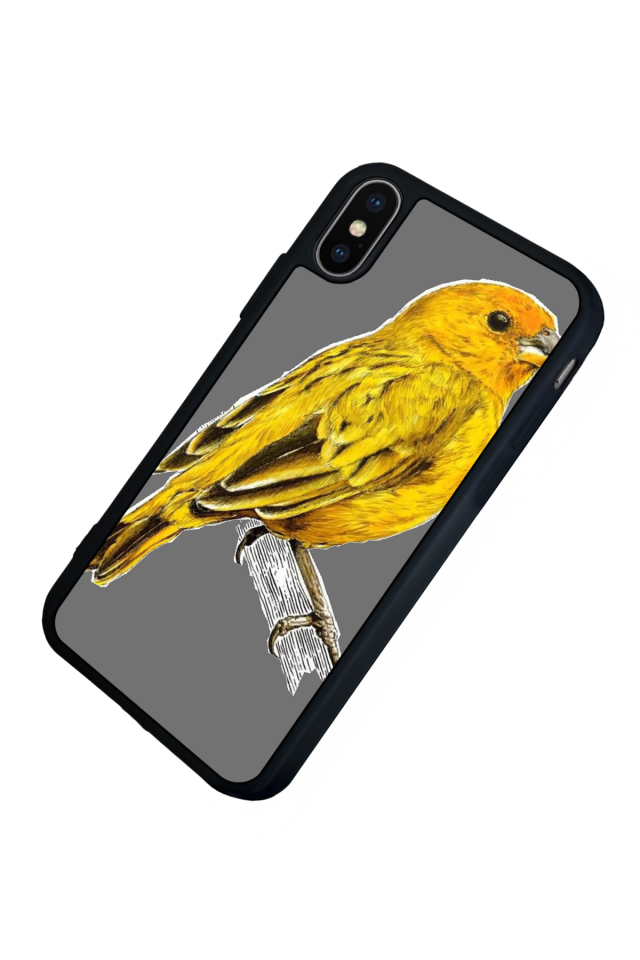 iPhone XS Max Uyumlu Fenerbahce Tasarımlı Glossy Premium Kılıf