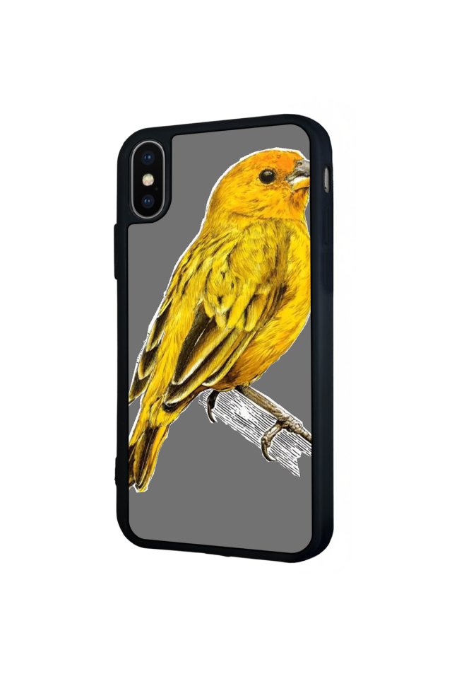 iPhone XS Max Uyumlu Fenerbahce Tasarımlı Glossy Premium Kılıf