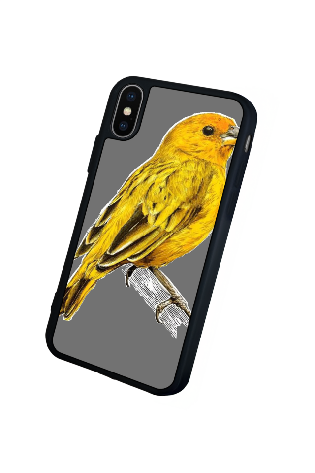 iPhone XS Max Uyumlu Fenerbahce Tasarımlı Glossy Premium Kılıf