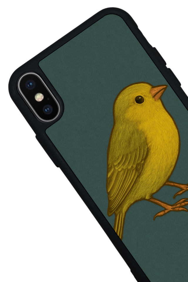 iPhone XS Max Uyumlu Fenerbahce Tasarımlı Glossy Premium Kılıf