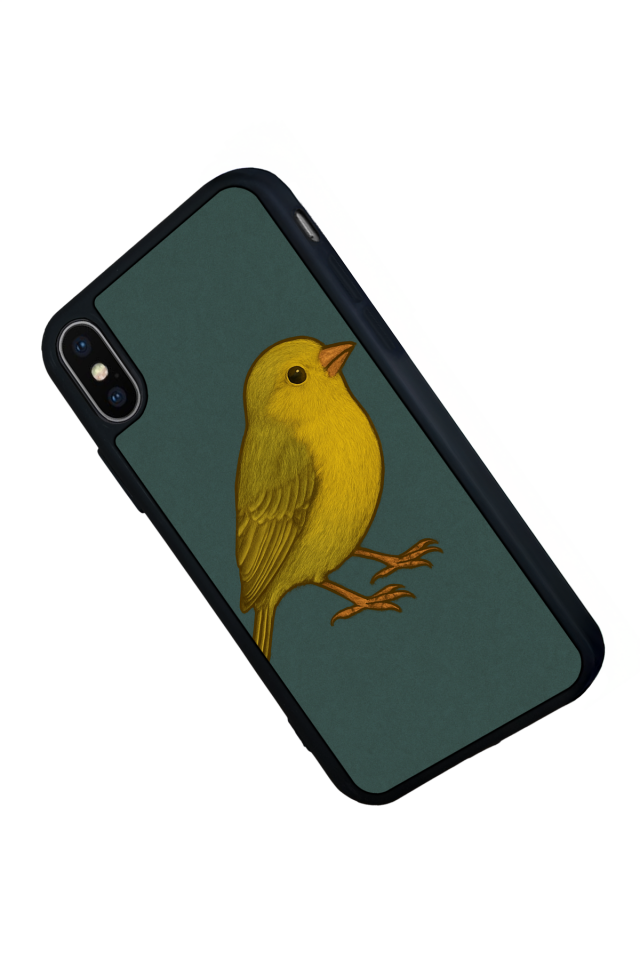 iPhone XS Max Uyumlu Fenerbahce Tasarımlı Glossy Premium Kılıf