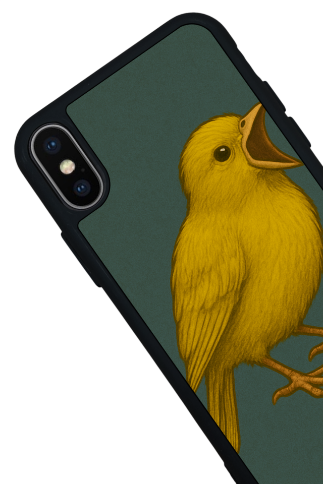 iPhone XS Max Uyumlu Fenerbahce Tasarımlı Glossy Premium Kılıf