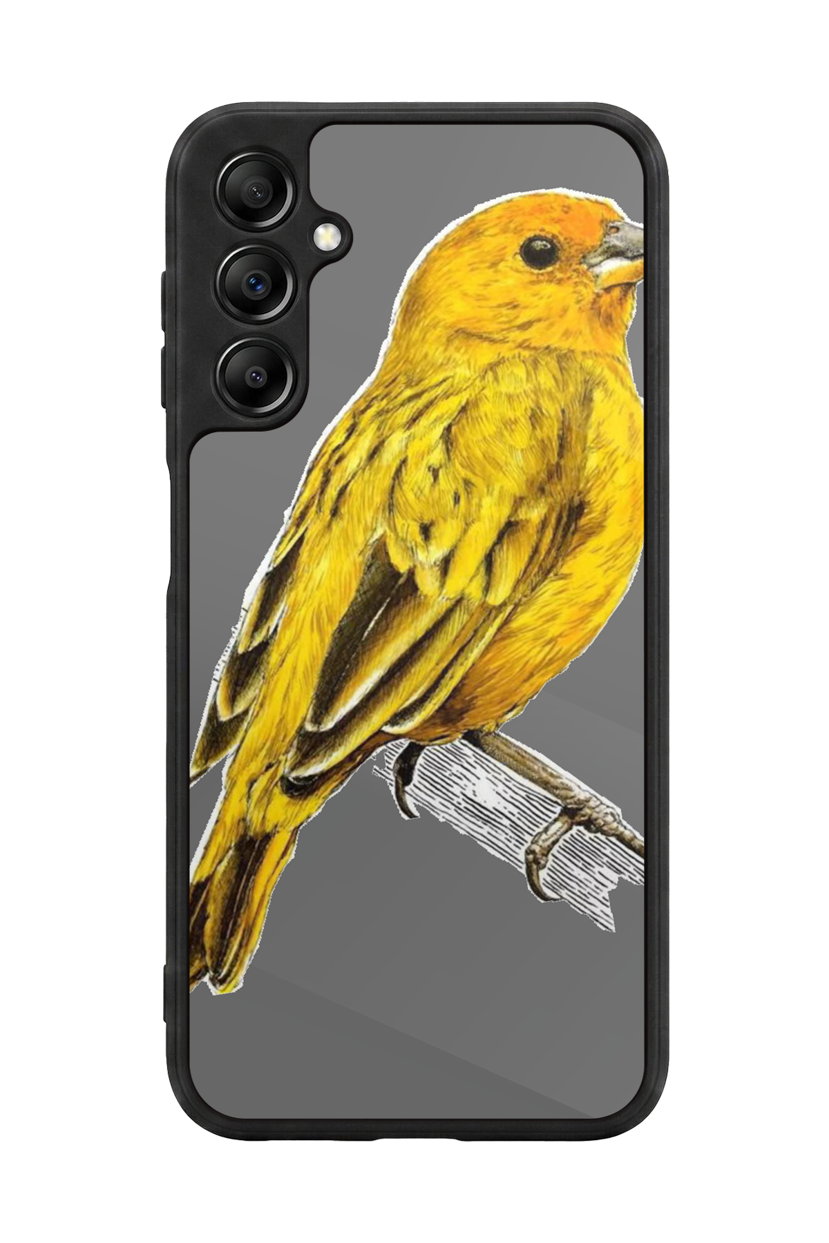 Samsung Galaxy A14 Uyumlu Fenerbahce Tasarımlı Glossy Premium Kılıf