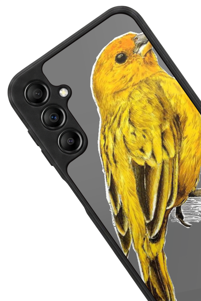 Samsung Galaxy A14 Uyumlu Fenerbahce Tasarımlı Glossy Premium Kılıf