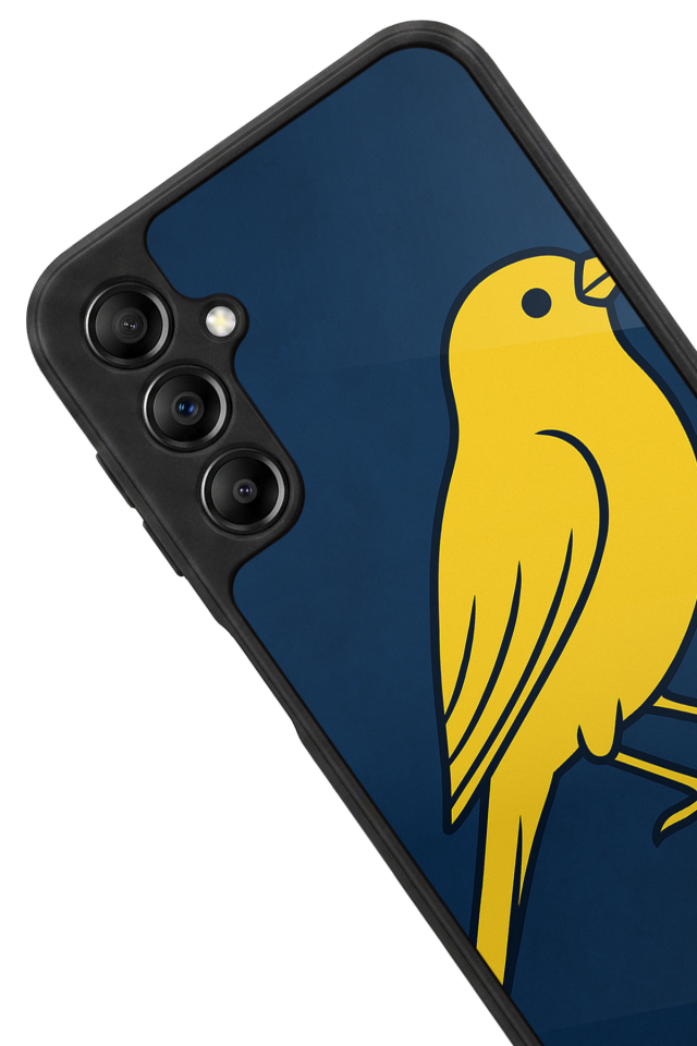 Samsung Galaxy A14 Uyumlu Fenerbahce Tasarımlı Glossy Premium Kılıf