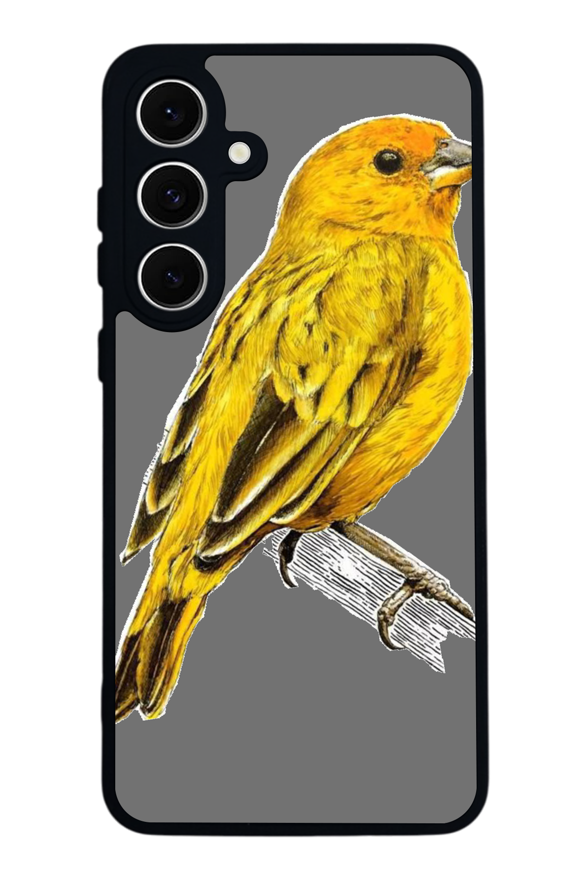Samsung Galaxy S24 FE Uyumlu Aslan Tasarımlı Glossy Premium Kılıf
