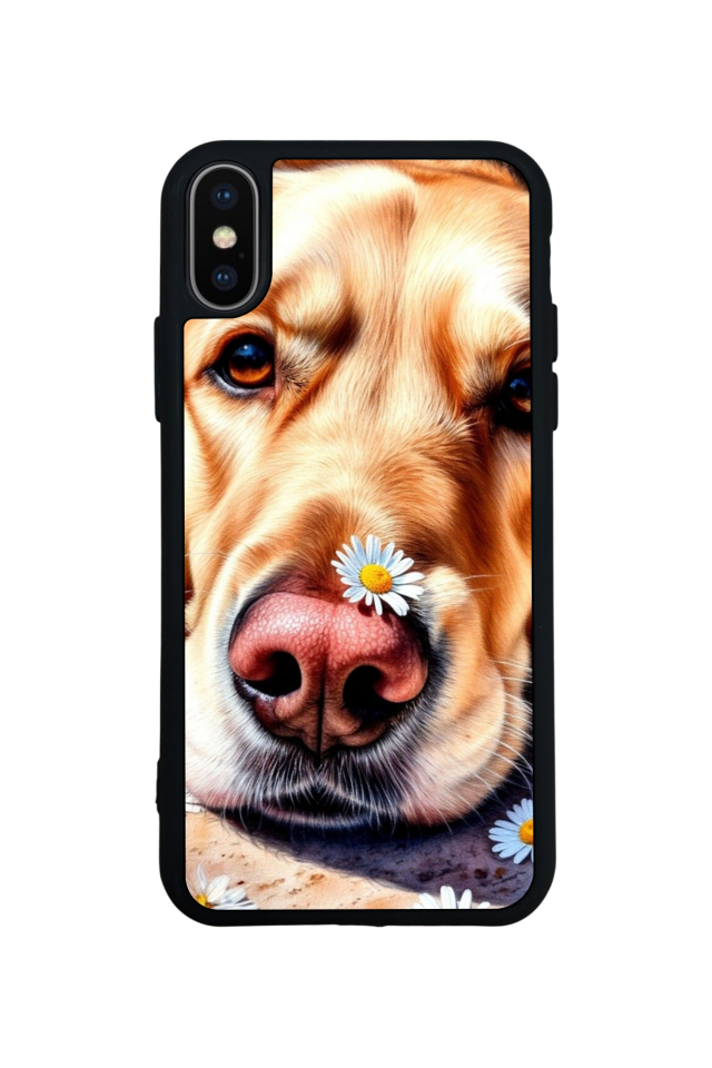iPhone X/ XS Uyumlu Golden Kopek Tasarımlı Glossy Premium Kılıf