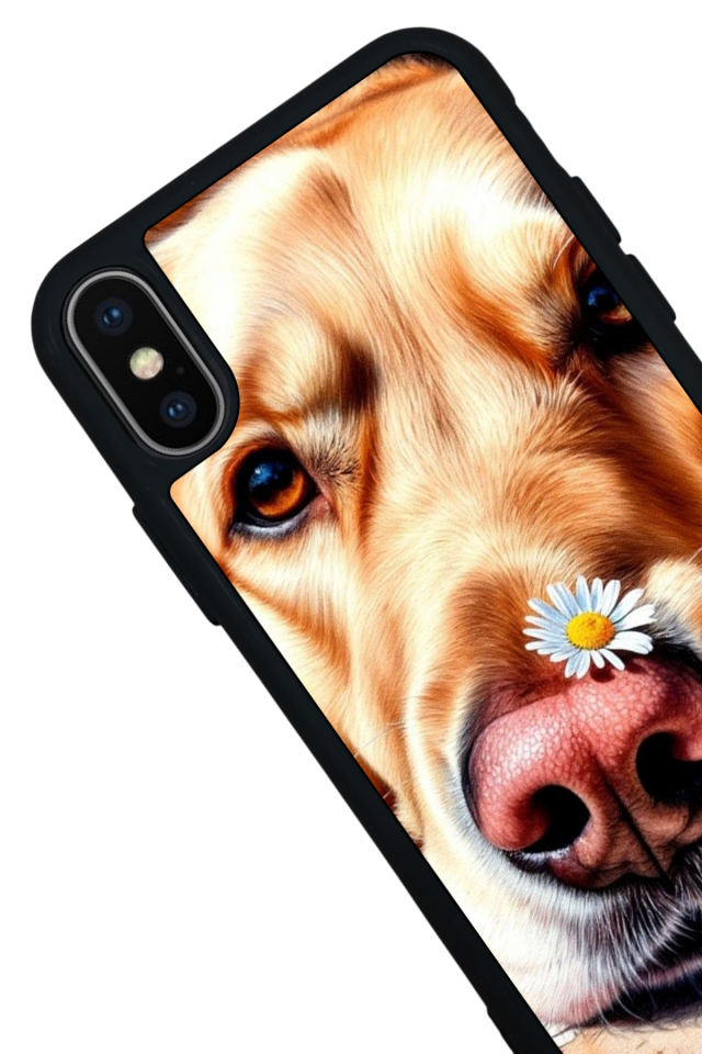 iPhone X/ XS Uyumlu Golden Kopek Tasarımlı Glossy Premium Kılıf