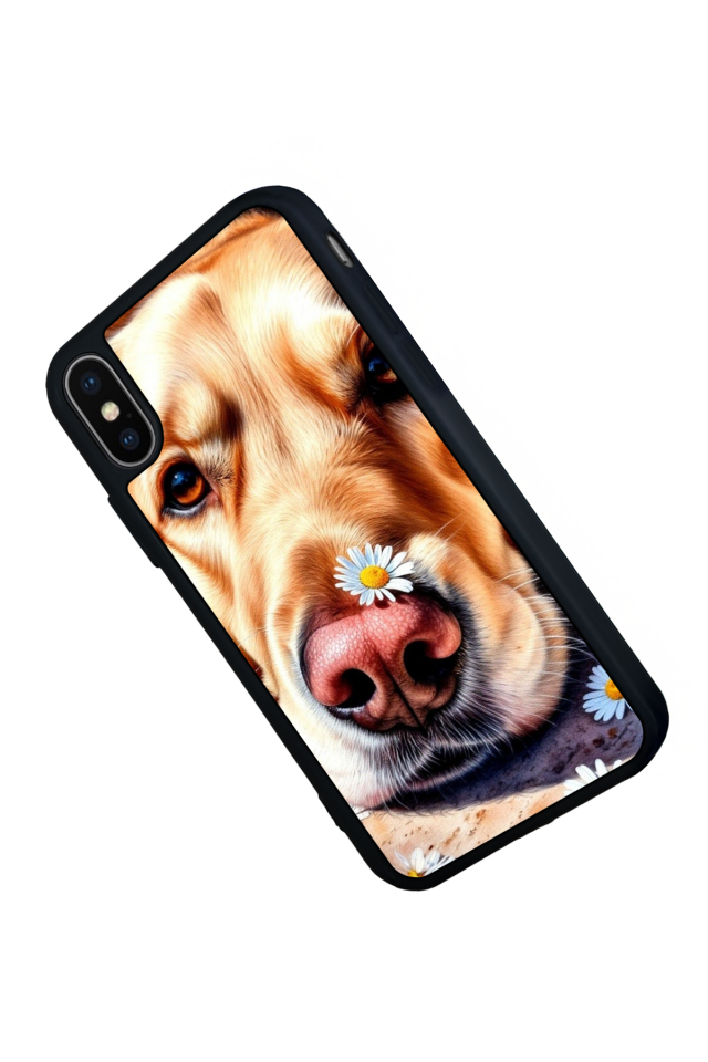 iPhone X/ XS Uyumlu Golden Kopek Tasarımlı Glossy Premium Kılıf
