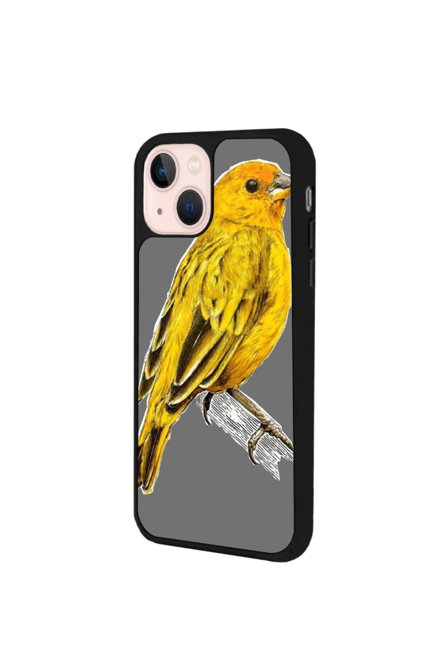 iPhone 13 Mini Uyumlu Fenerbahce Tasarımlı Glossy Premium Kılıf