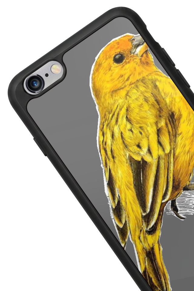 iPhone 6 Plus Uyumlu Fenerbahce Tasarımlı Glossy Premium Kılıf