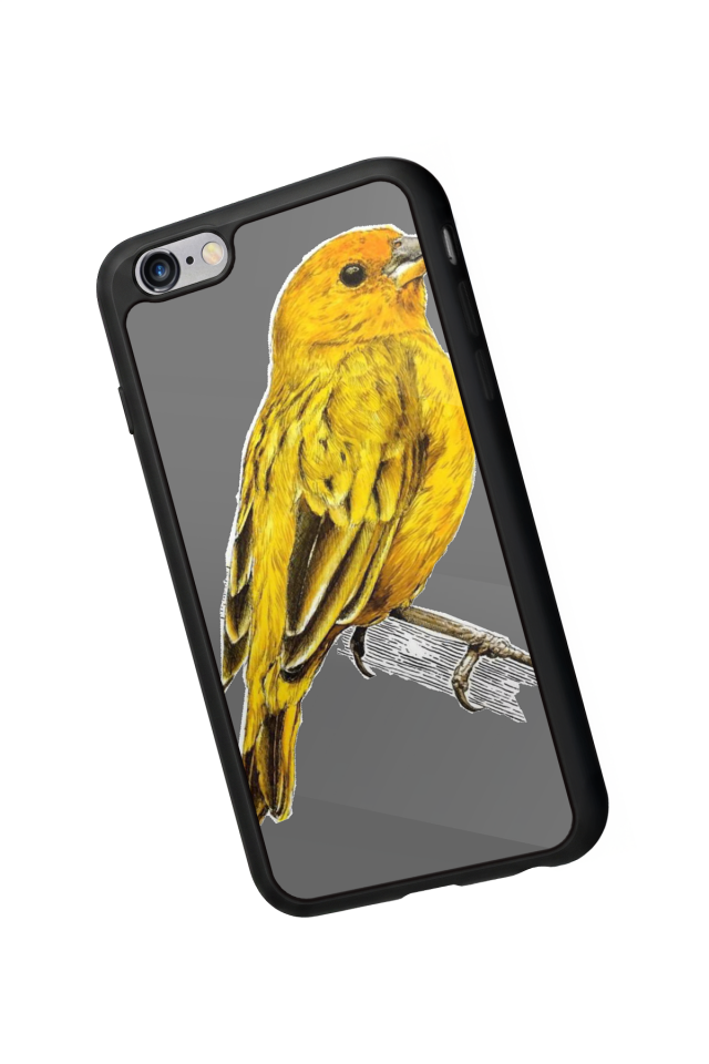 iPhone 6 Plus Uyumlu Fenerbahce Tasarımlı Glossy Premium Kılıf
