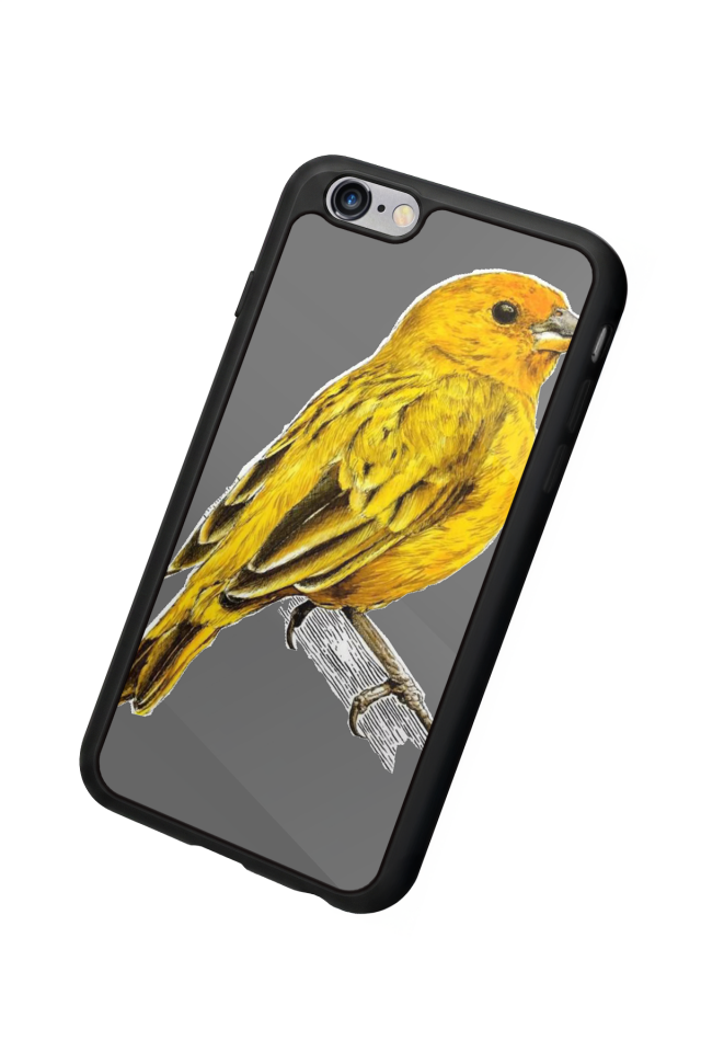 iPhone 6 Plus Uyumlu Fenerbahce Tasarımlı Glossy Premium Kılıf