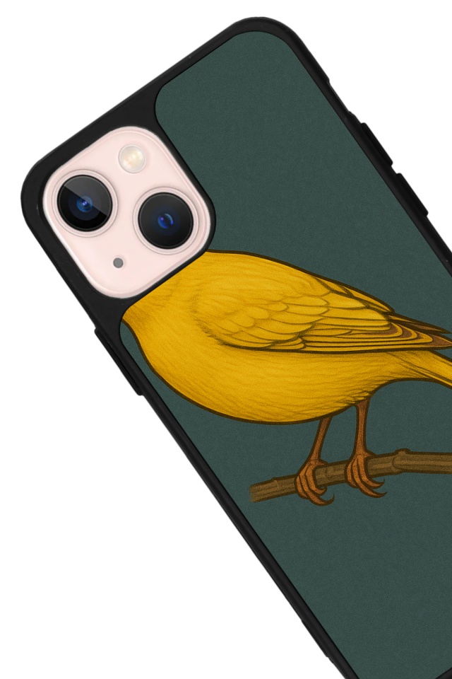 iPhone 13 Mini Uyumlu Fenerbahce Tasarımlı Glossy Premium Kılıf