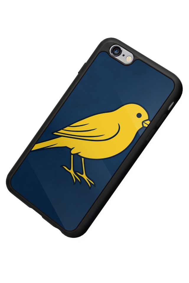 iPhone 6 Plus Uyumlu Fenerbahce Tasarımlı Glossy Premium Kılıf
