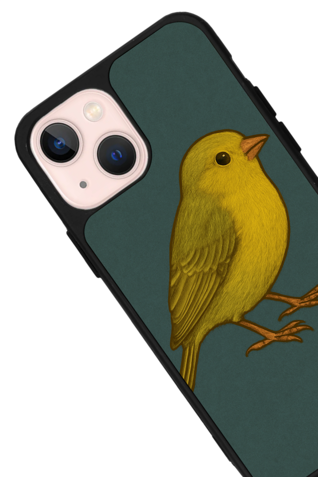 iPhone 13 Mini Uyumlu Fenerbahce Tasarımlı Glossy Premium Kılıf